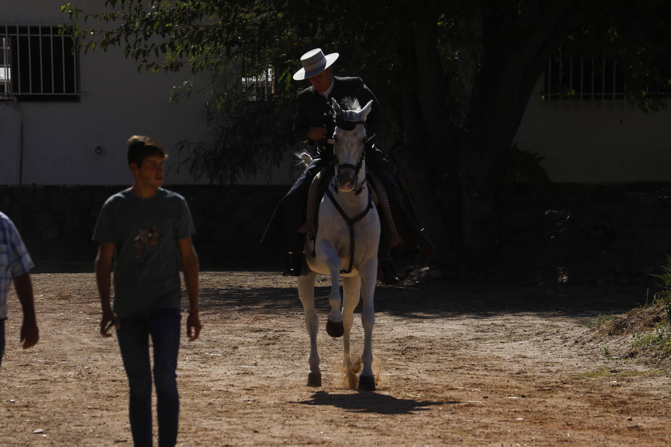 Fotos: el Concurso Morfológico de Pura Raza, en Caballerizas Reales