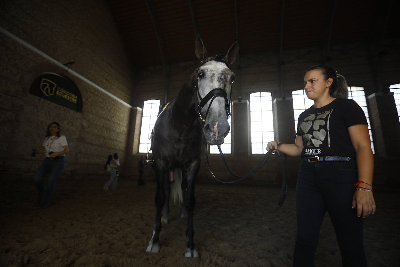 Fotos: el Concurso Morfológico de Pura Raza, en Caballerizas Reales