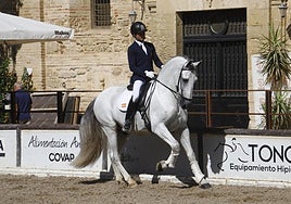 Córdoba vuelve a buscar el caballo español perfecto en las Caballerizas Reales
