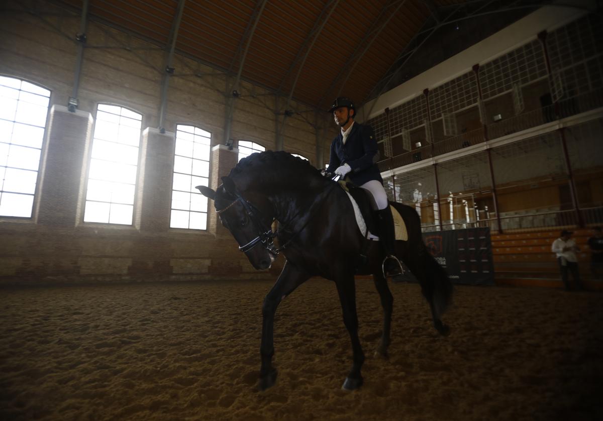 Fotos: el Concurso Morfológico de Pura Raza, en Caballerizas Reales