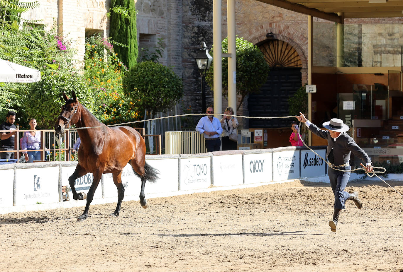 En imágenes, estética y excelencia en el Concurso Morfológico de Pura Raza en Cabalcor