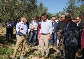 Mazón reclamará en Bruselas «mayores garantías y seguridad jurídica» para la agricultura valenciana