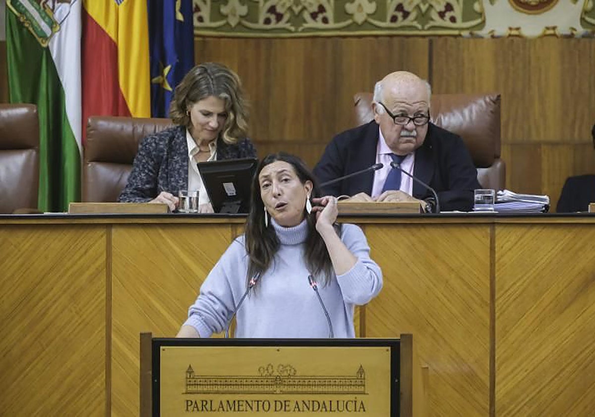 La consejera de Inclusión Social , Juventud, Familia e Igualdad, Loles López