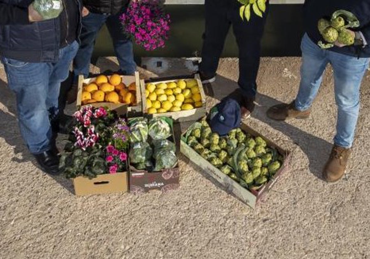 Regantes de cultivos de la cuenca del Segura muestran sus hortalizas