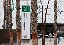 A prisión por abusar en Córdoba de su sobrina de 11 años descartando que fuera «sonámbulo»