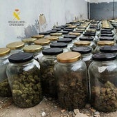 El fuerte olor a marihuana destapa dos zulos repletos de droga en Alicante: tenían 12 variedades y fabricaban 'bombones'