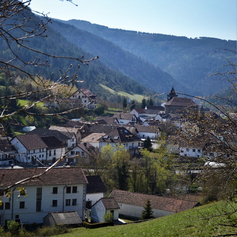 El pueblo de Navarra rodeado de praderas verdes y una imponente selva