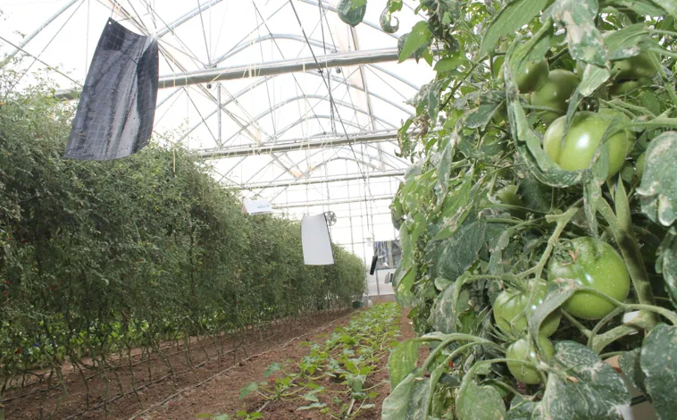 Imagen principal - Casas de Hualdo, una oda al trabajo bien hecho en el campo