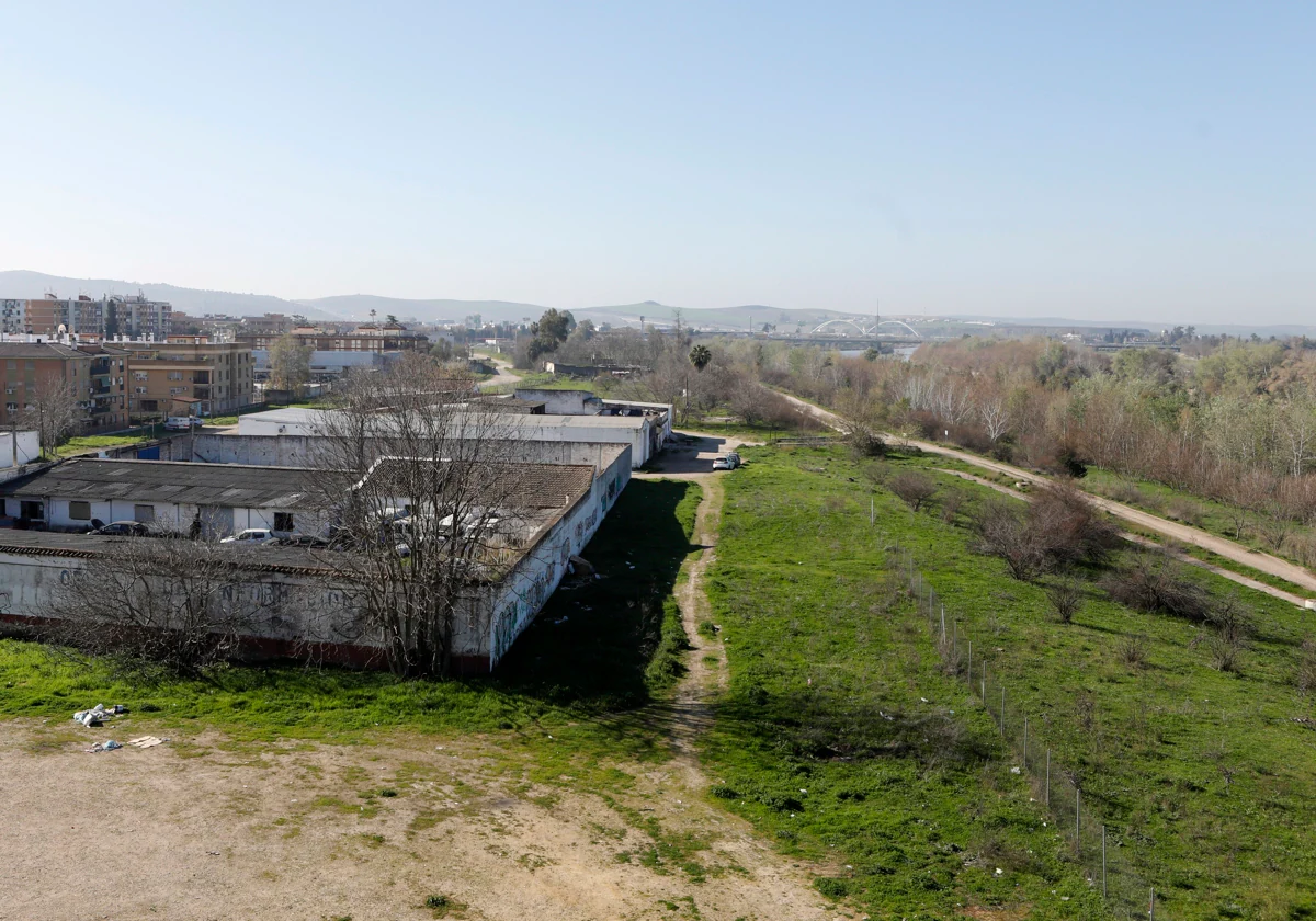 Panorámica del primer tramo del Cordel e Écija desde el puente de San Rafael