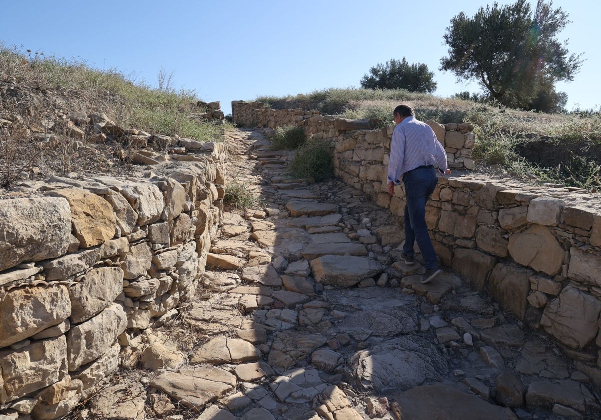 Camino en el yacimiento de Torreparedones