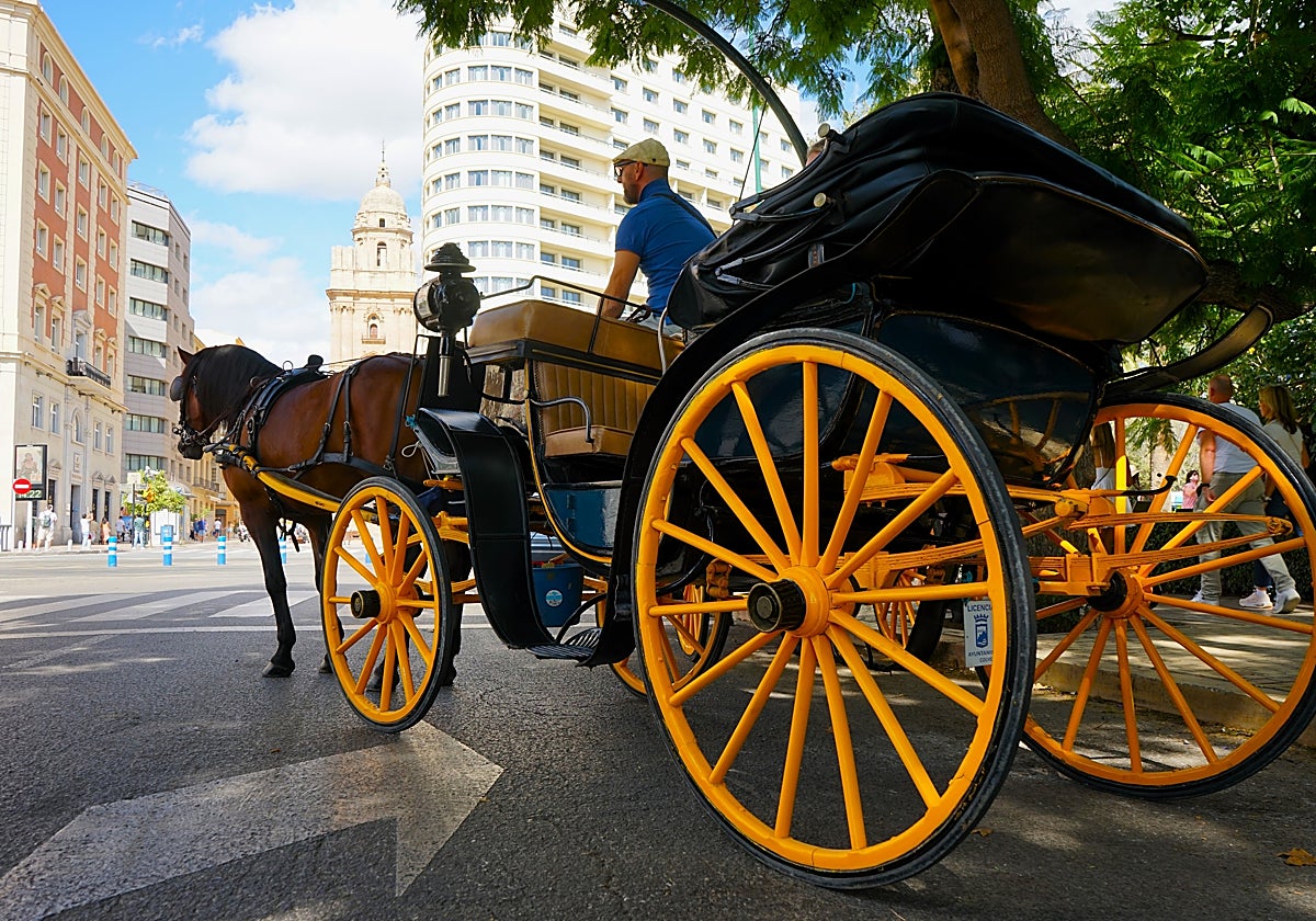 Un coche de caballos espera frente a un semáforo en el centro de Málaga