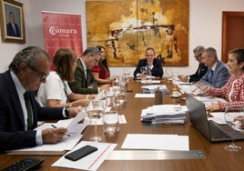 Baleària, Actiu, TM Grupo Inmobiliario, Magic Costa Blanca, Panter, Vigar, Nax Solutions y Carnicerías Gombao, los Premios Cámara 2023