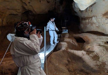 Nuestros antepasados del Paleolítico tuvieron sus propias 'escuelas de arte'