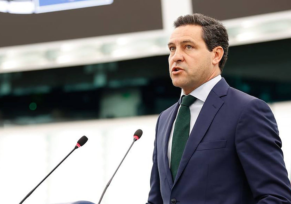 Raúl de la Hoz, portavoz adjunto de la Delegación española del PP Europeo