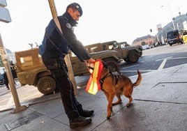 Desfile militar del 12 de octubre en Madrid: cortes de tráfico, refuerzo de Metro y plan especial de seguridad