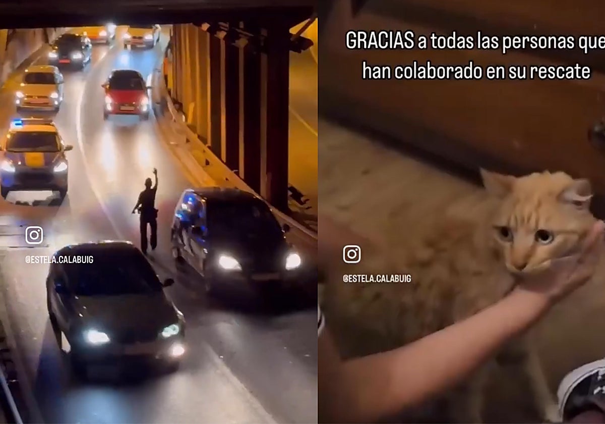 Imagen de la actuación policial y del gato rescatado en un túnel de Valencia