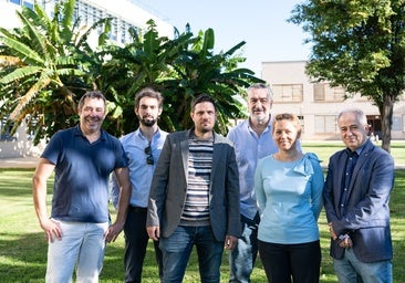 Inteligencia artificial para detectar averías en motores eléctricos