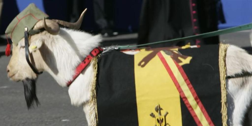 ¿Por qué la cabra es la mascota de la Legión y aparece en el desfile de las Fuerzas Armadas?