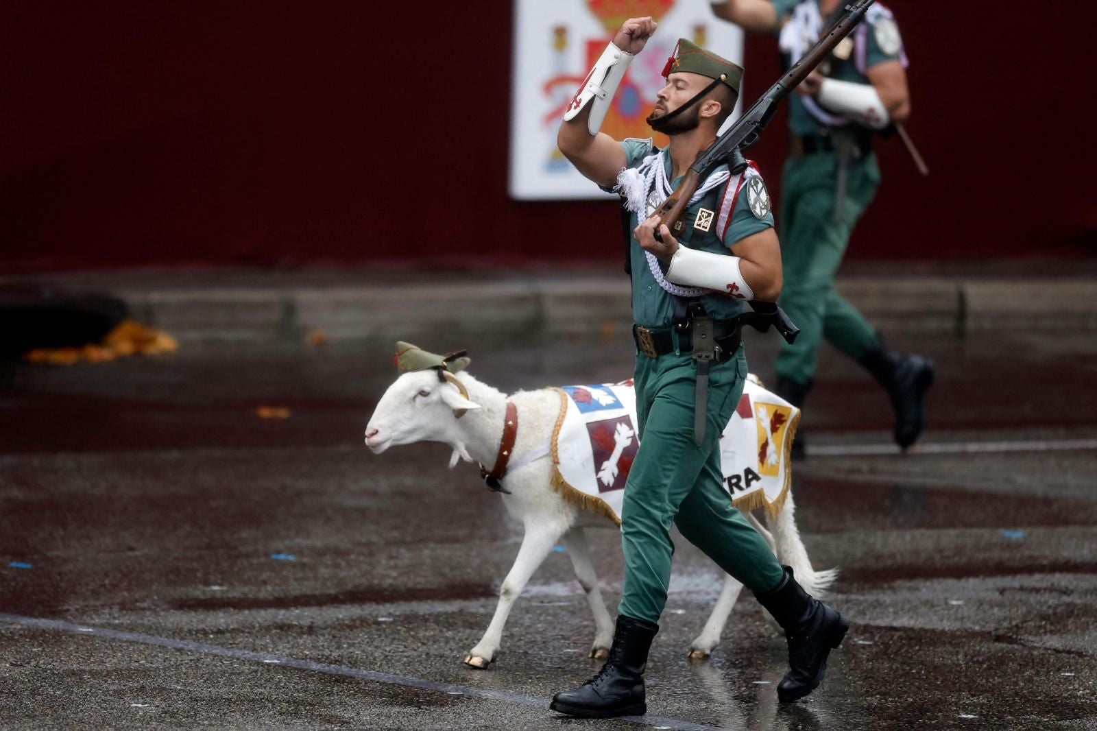 'Killo,' un borrego de la Legión que ha desfilado en lugar de la mítica cabra,  ha acaparado muchas miradas