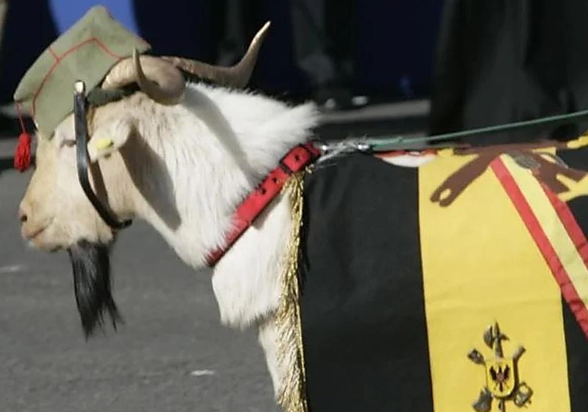 La historia detrás de la mascota de la Legión que participa en el desfile