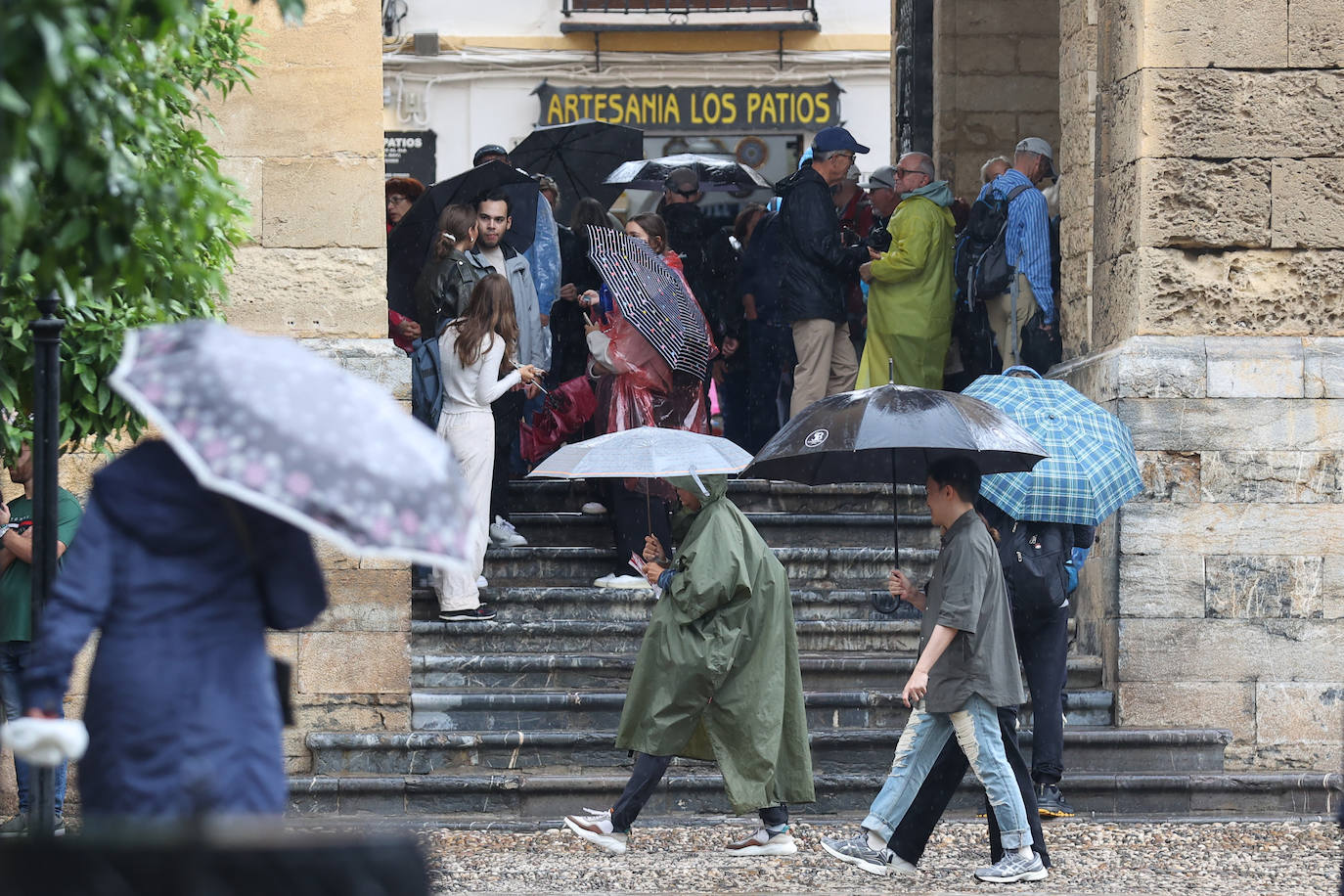 Fotos: el temporal Berenice se deja sentir en Córdoba