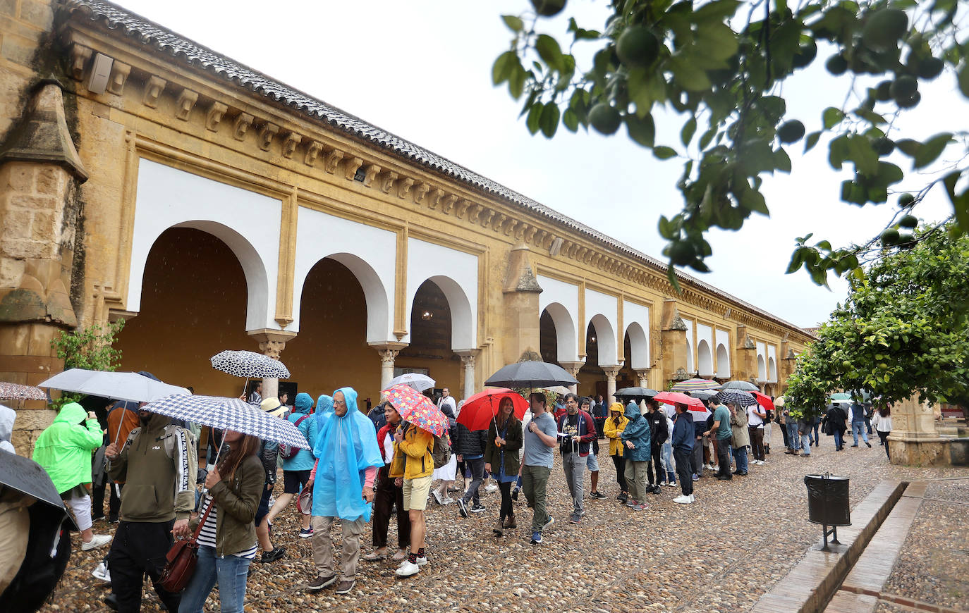 Fotos: el temporal Berenice se deja sentir en Córdoba