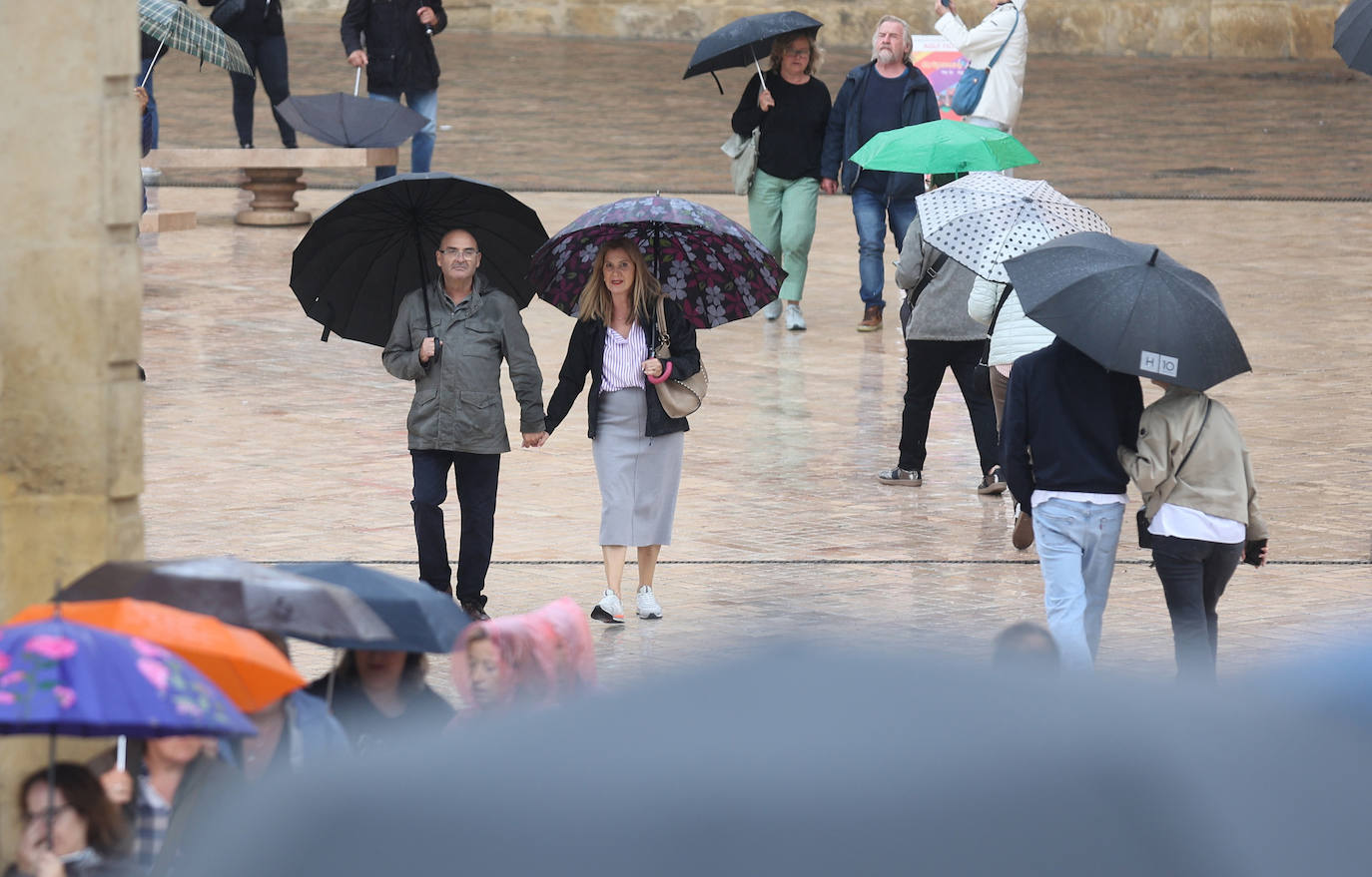 Fotos: el temporal Berenice se deja sentir en Córdoba