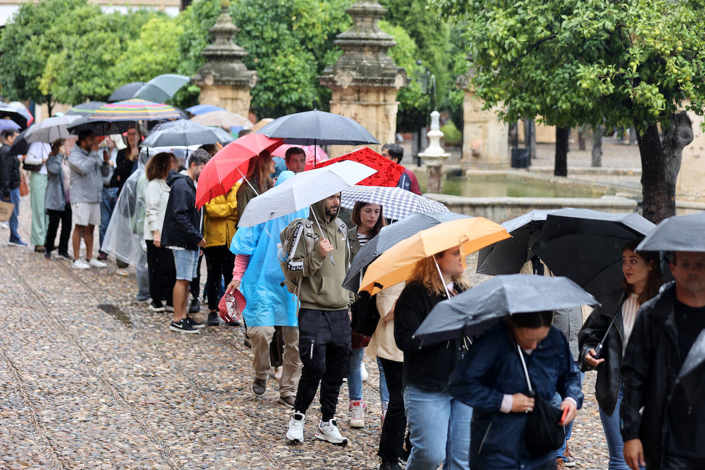 Fotos: el temporal Berenice se deja sentir en Córdoba