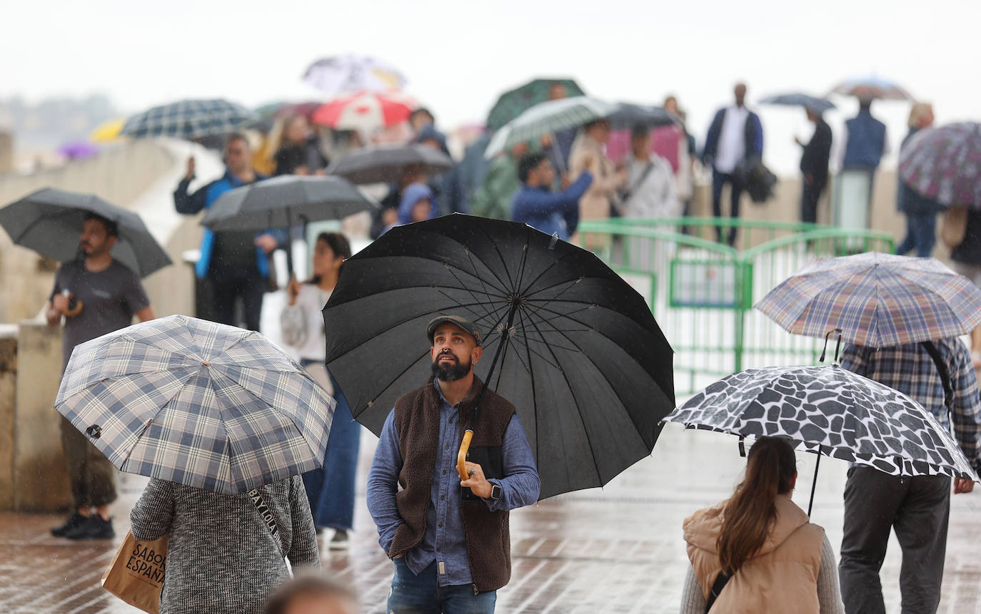 Fotos: el temporal Berenice se deja sentir en Córdoba