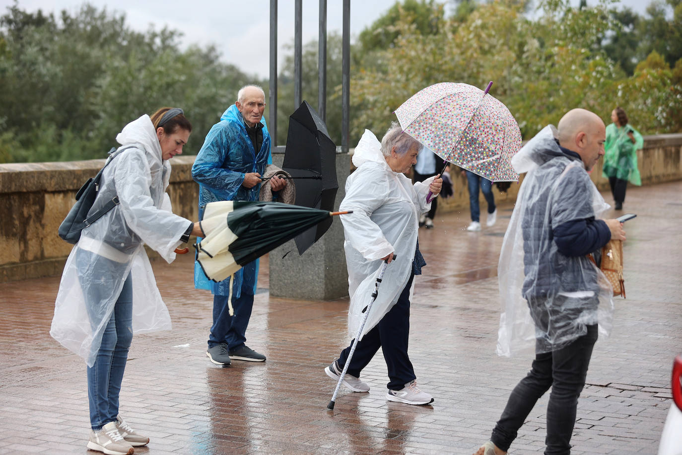 Fotos: el temporal Berenice se deja sentir en Córdoba