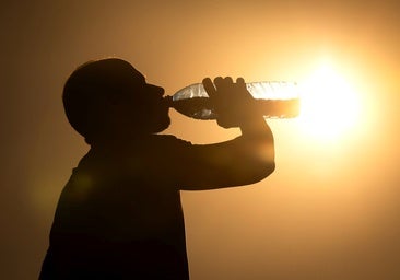 El verano deja más de 270 muertes asociadas a las altas temperaturas