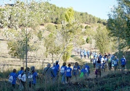 La VII Caminata Popular a favor de la Fundación Banco de Alimentos de Valladolid reúne a 800 personas