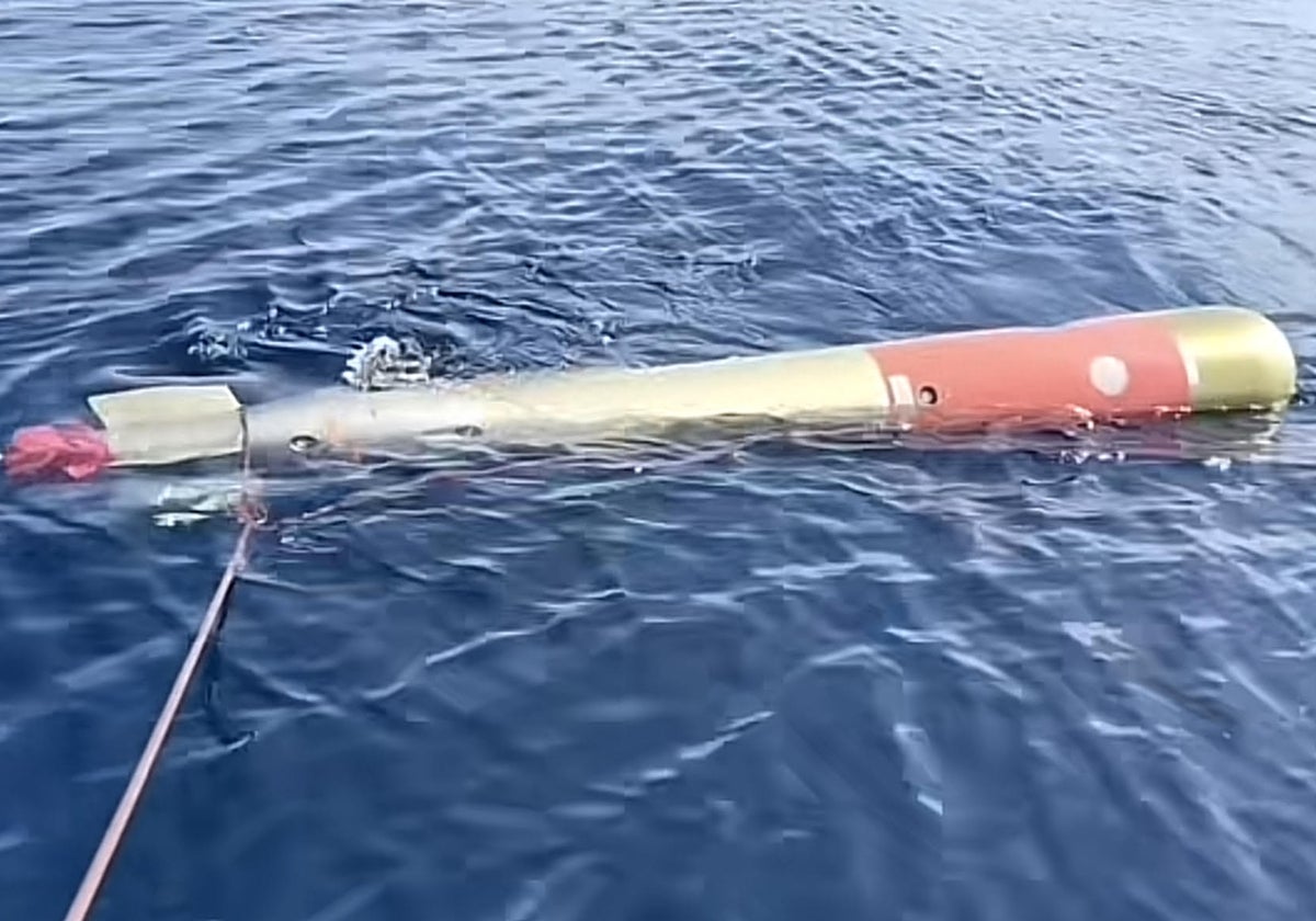 Imagen del torpedo hallado por un grupo de pescadores en la isla alicantina de Tabarca