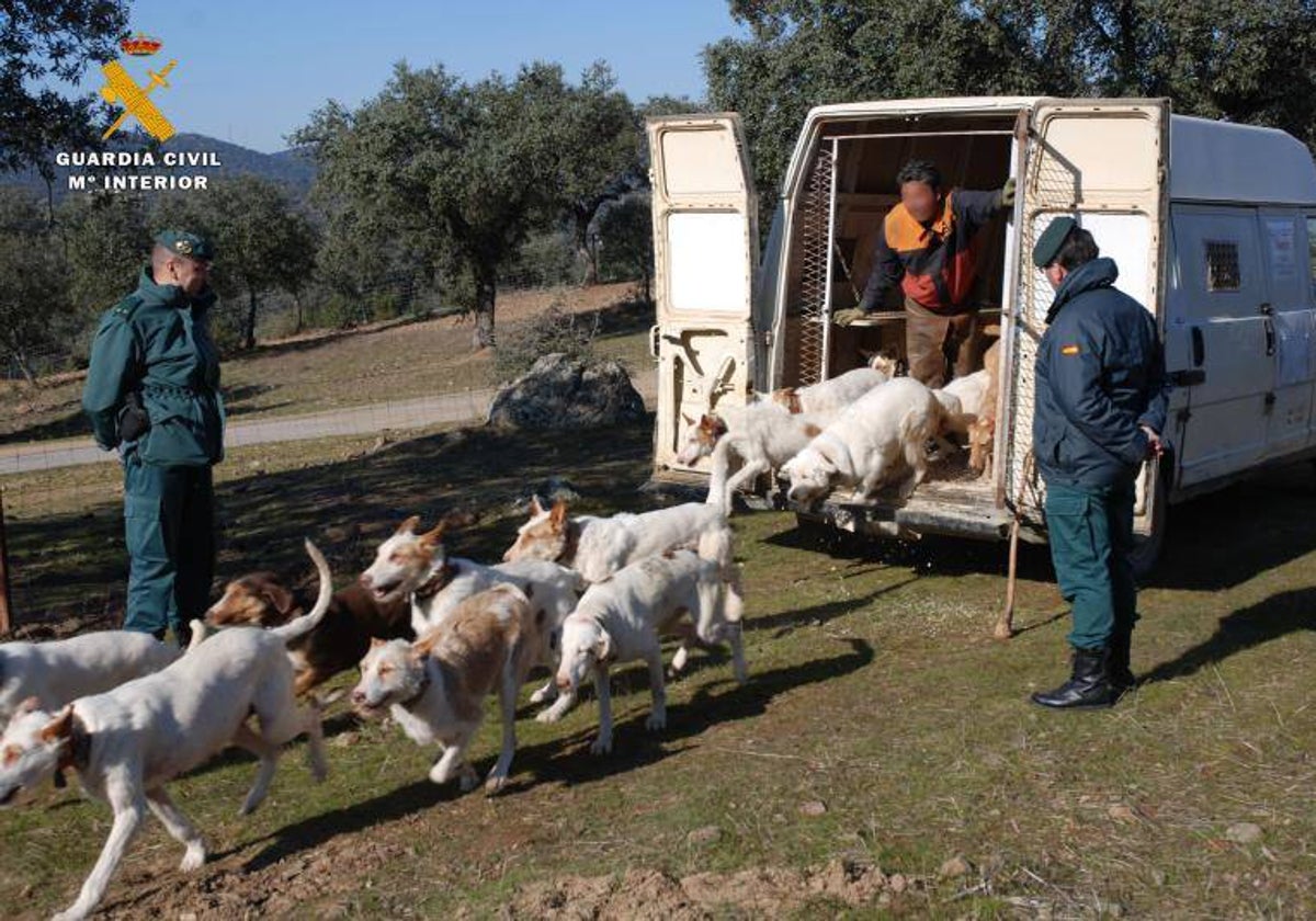 Una patrulla del Seprona durante una montería en Córdoba