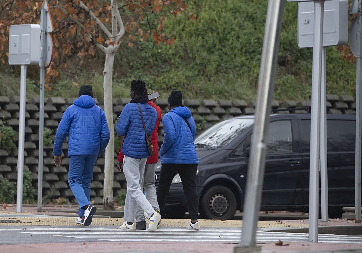 Un grupo de inmigrantes pasea en Alcalá de Henares