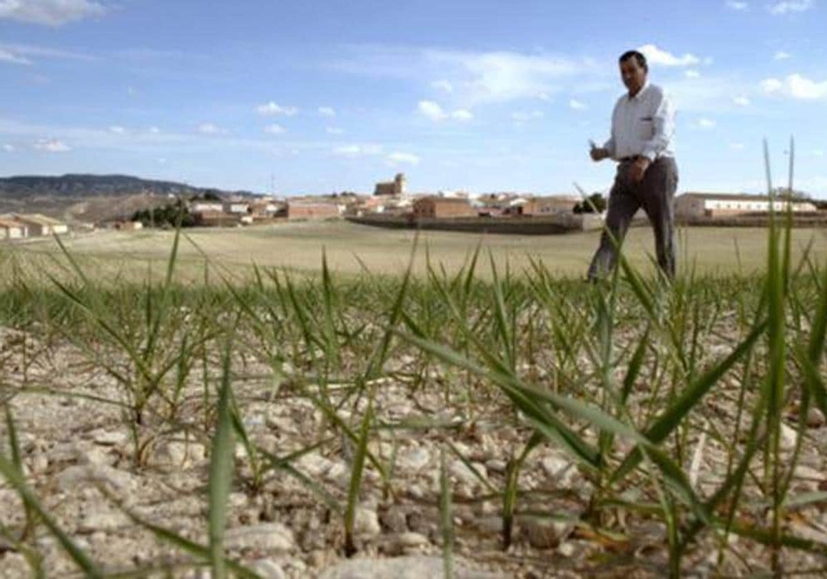 Los agricultores y ganaderos de Castilla-La Mancha recibirán 456,8 millones de las ayudas directas de la PAC