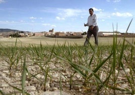 Los agricultores y ganaderos de Castilla-La Mancha recibirán 456,8 millones de las ayudas directas de la PAC