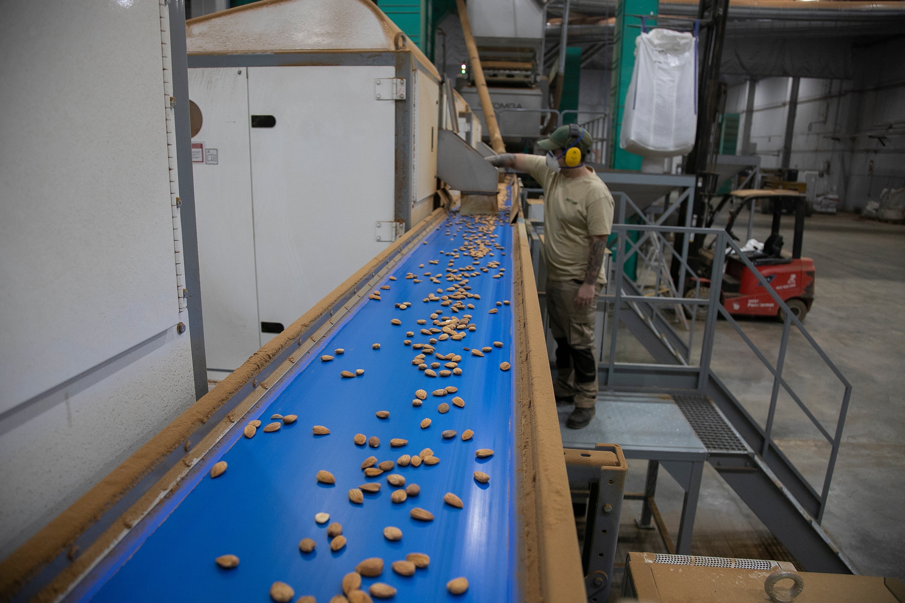 La imponente planta de almendras de Dcoop en Villarrubia, en imágenes