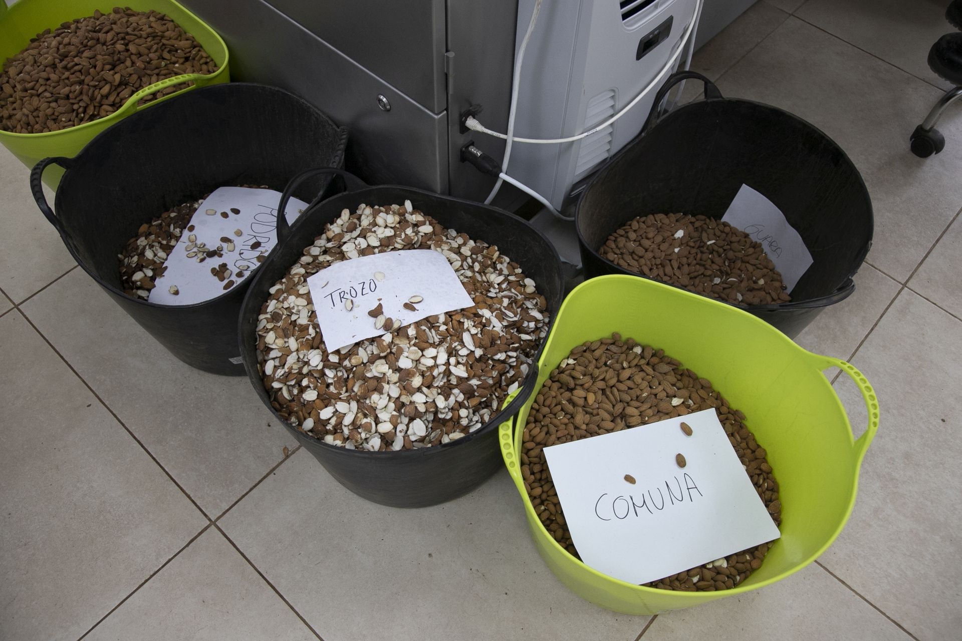 La imponente planta de almendras de Dcoop en Villarrubia, en imágenes