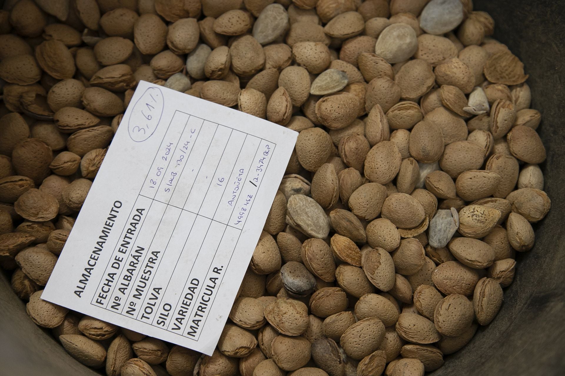 La imponente planta de almendras de Dcoop en Villarrubia, en imágenes