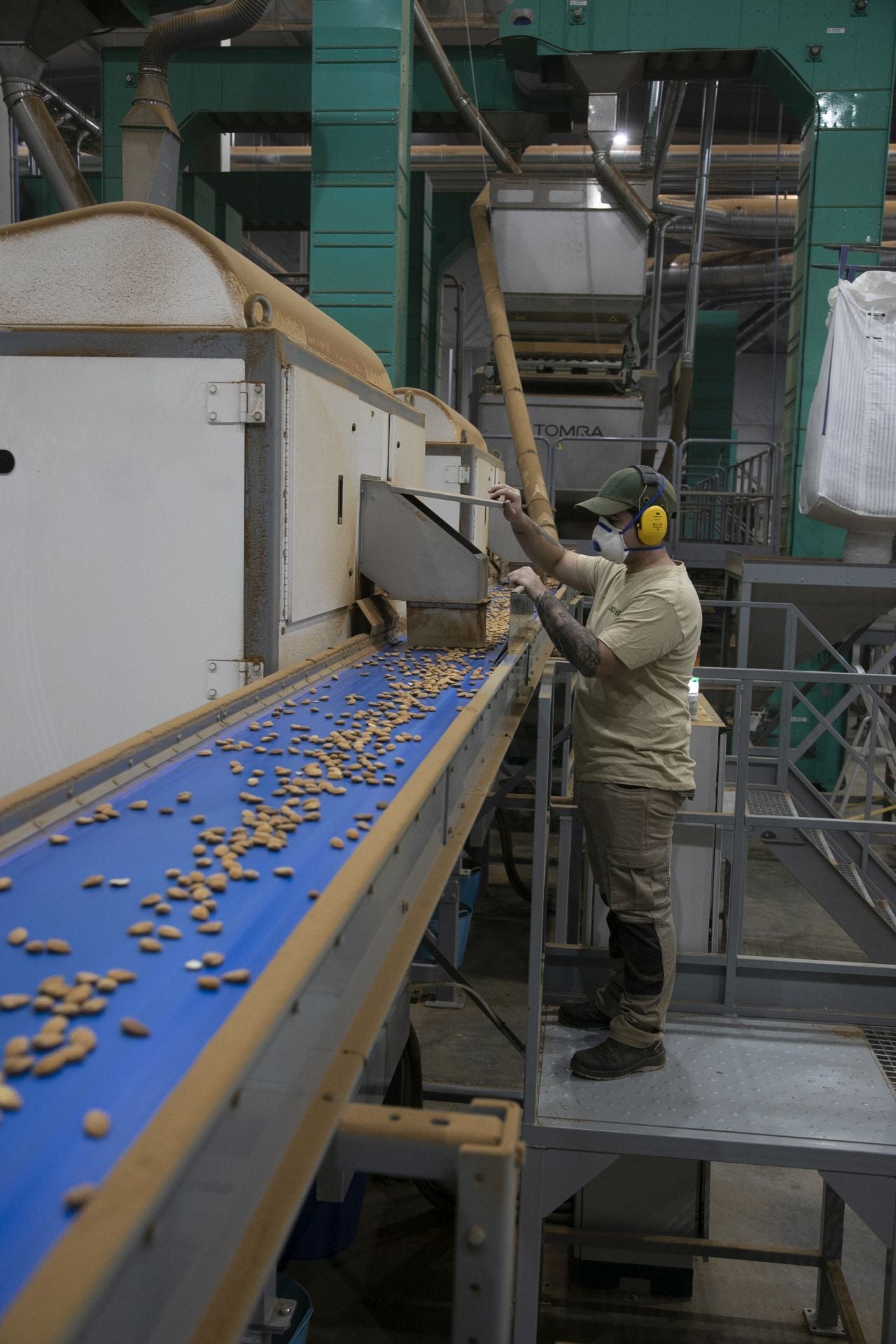 La imponente planta de almendras de Dcoop en Villarrubia, en imágenes
