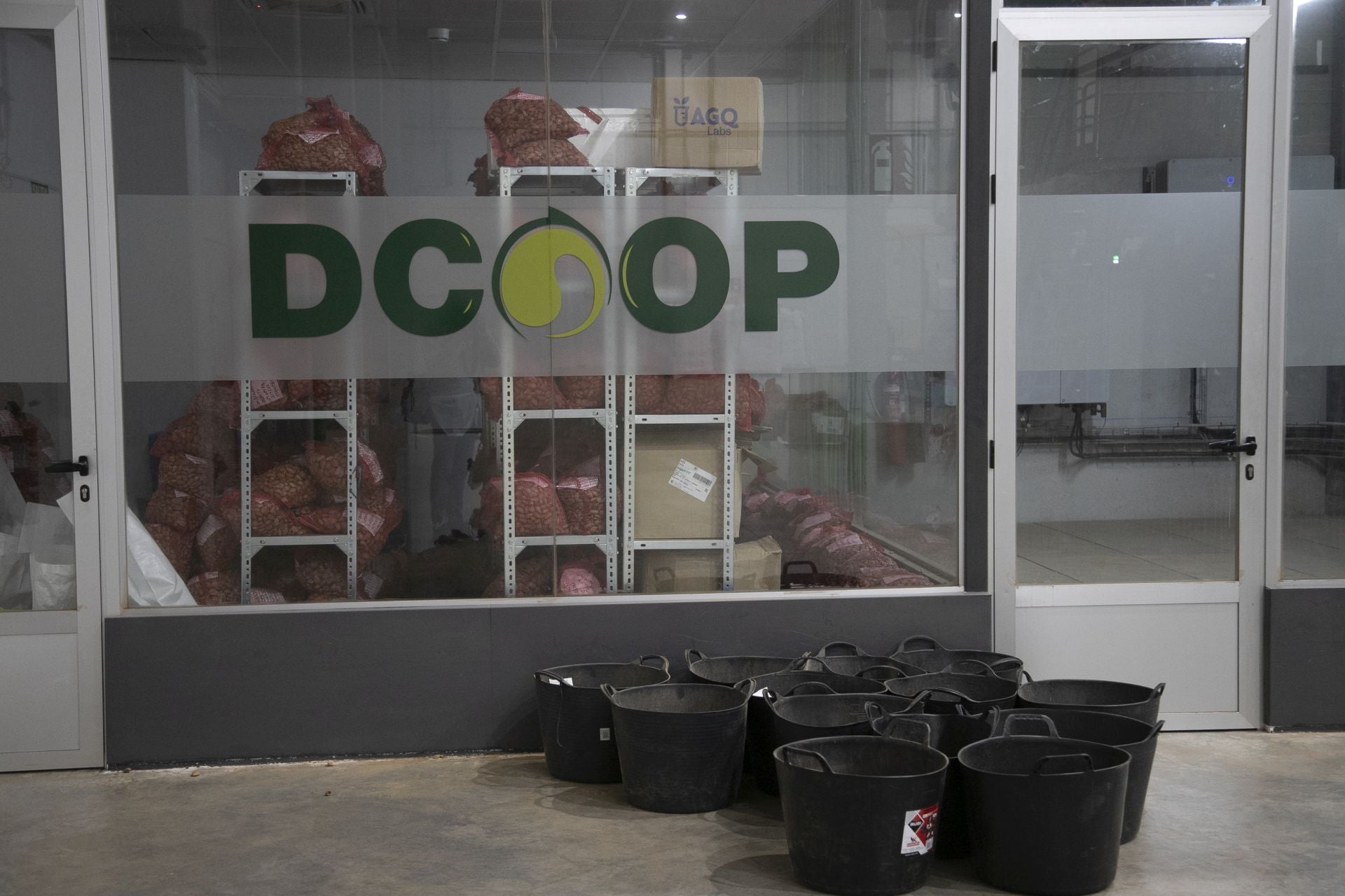 La imponente planta de almendras de Dcoop en Villarrubia, en imágenes