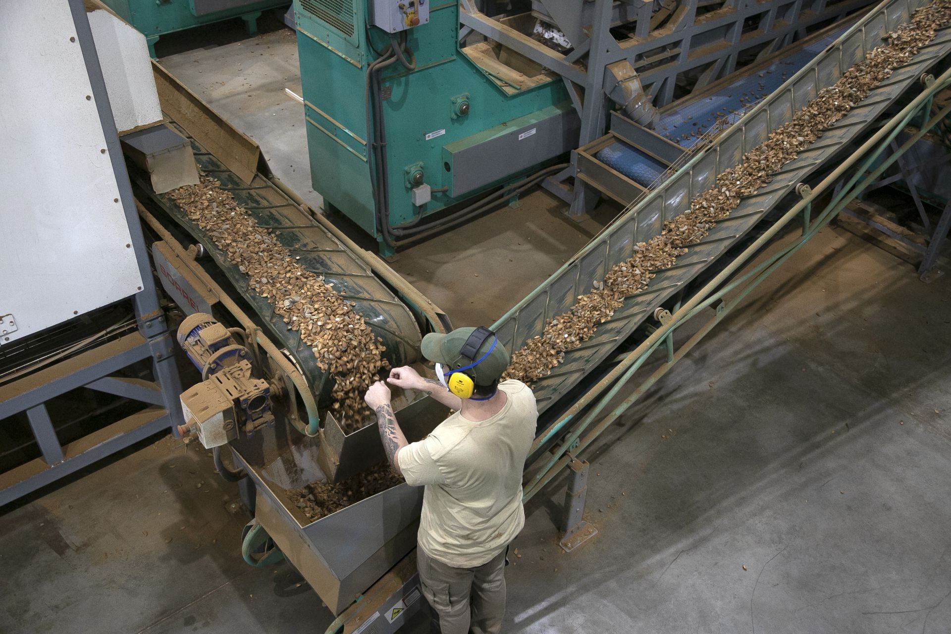La imponente plan de almendras de Dcoop en Villarrubia, en imágenes