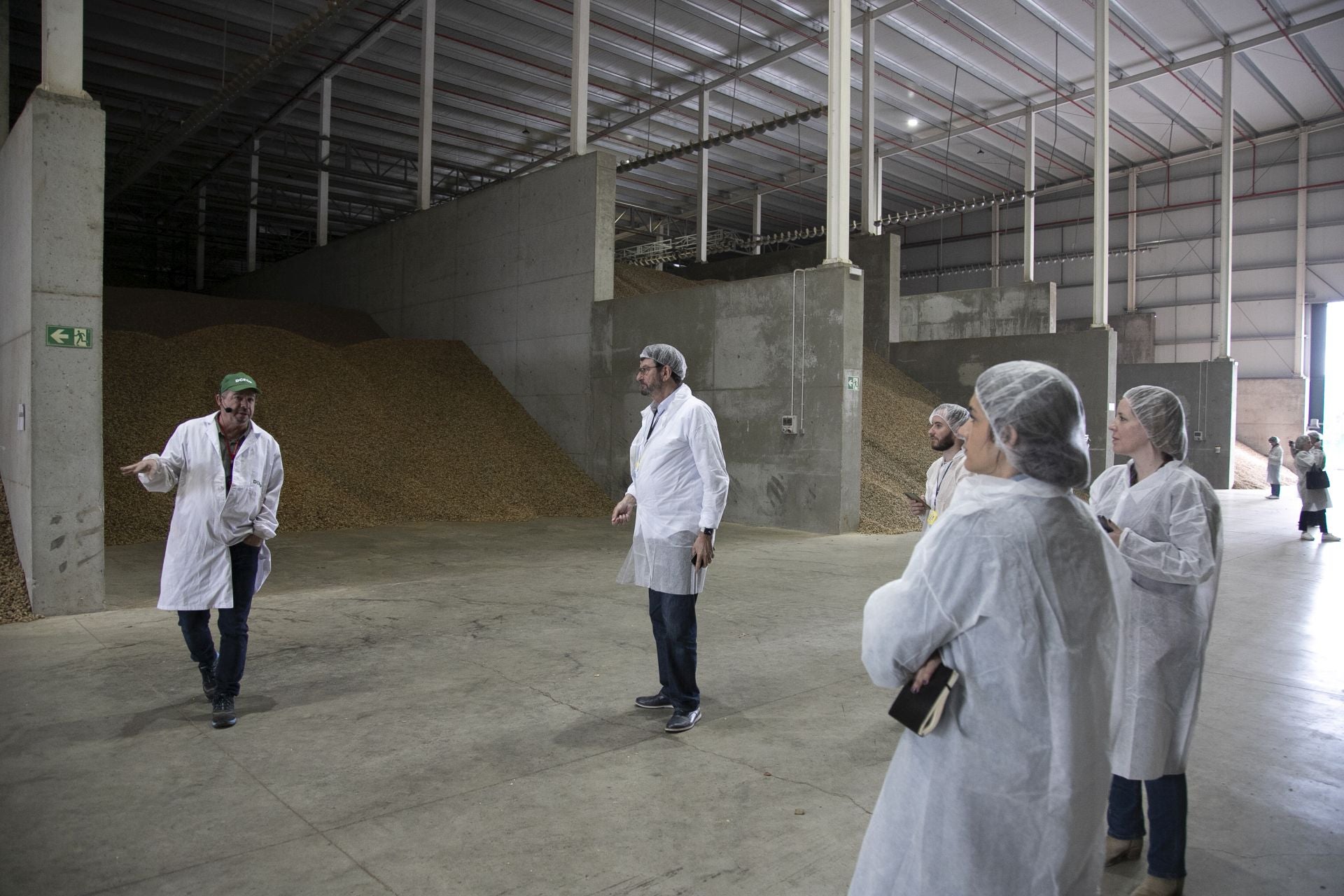 La imponente planta de almendras de Dcoop en Villarrubia, en imágenes