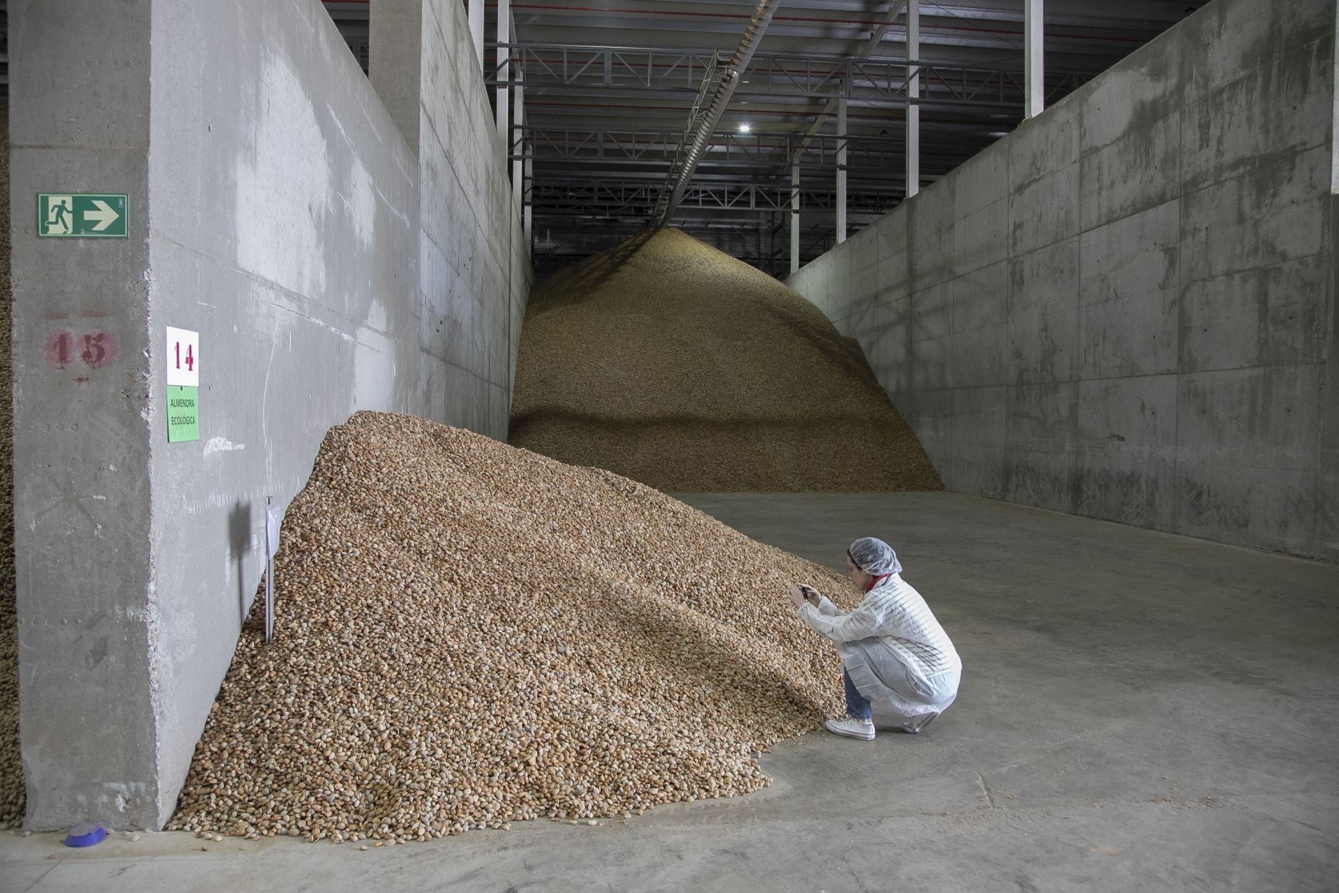 La imponente planta de almendras de Dcoop en Villarrubia, en imágenes