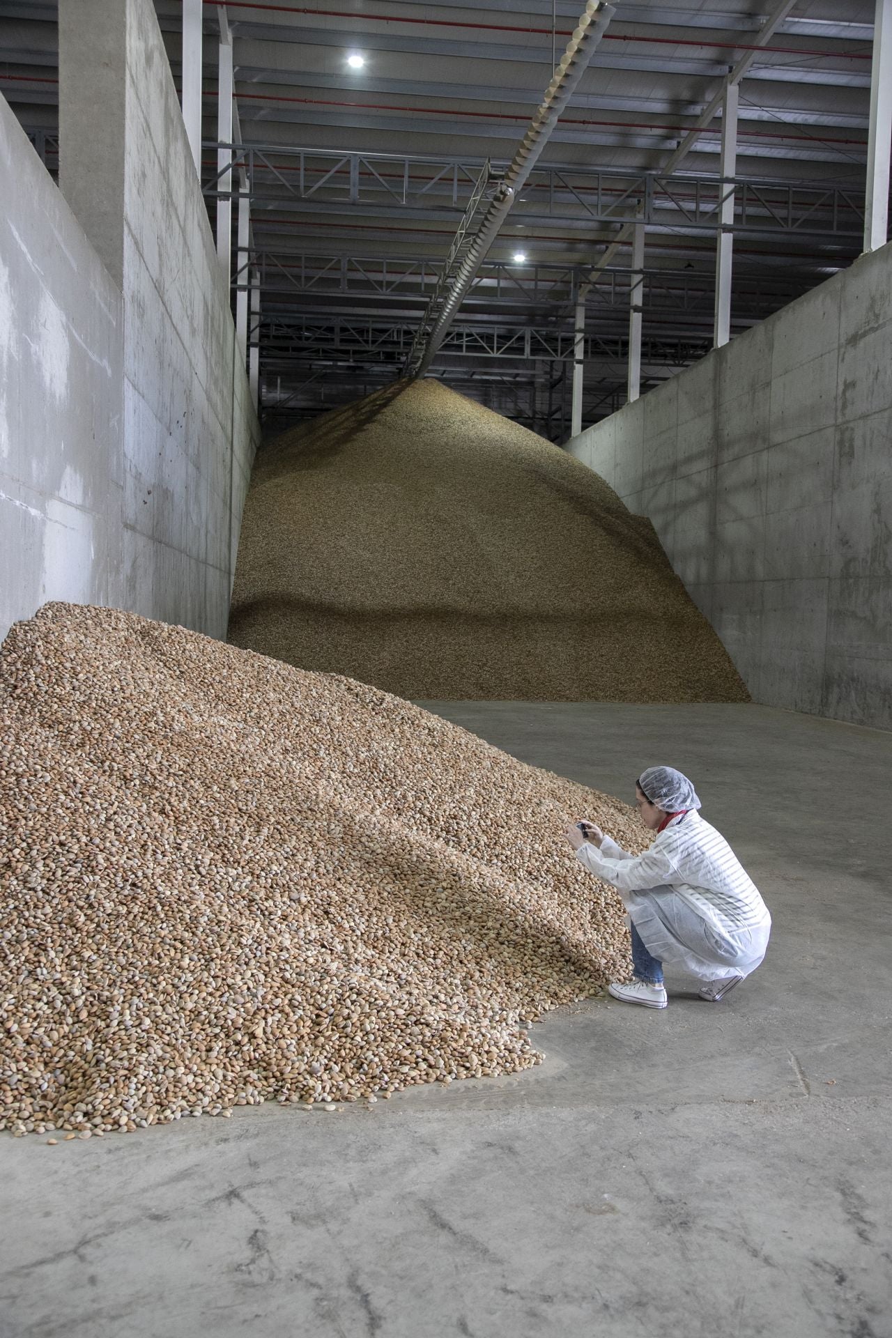 La imponente planta de almendras de Dcoop en Villarrubia, en imágenes
