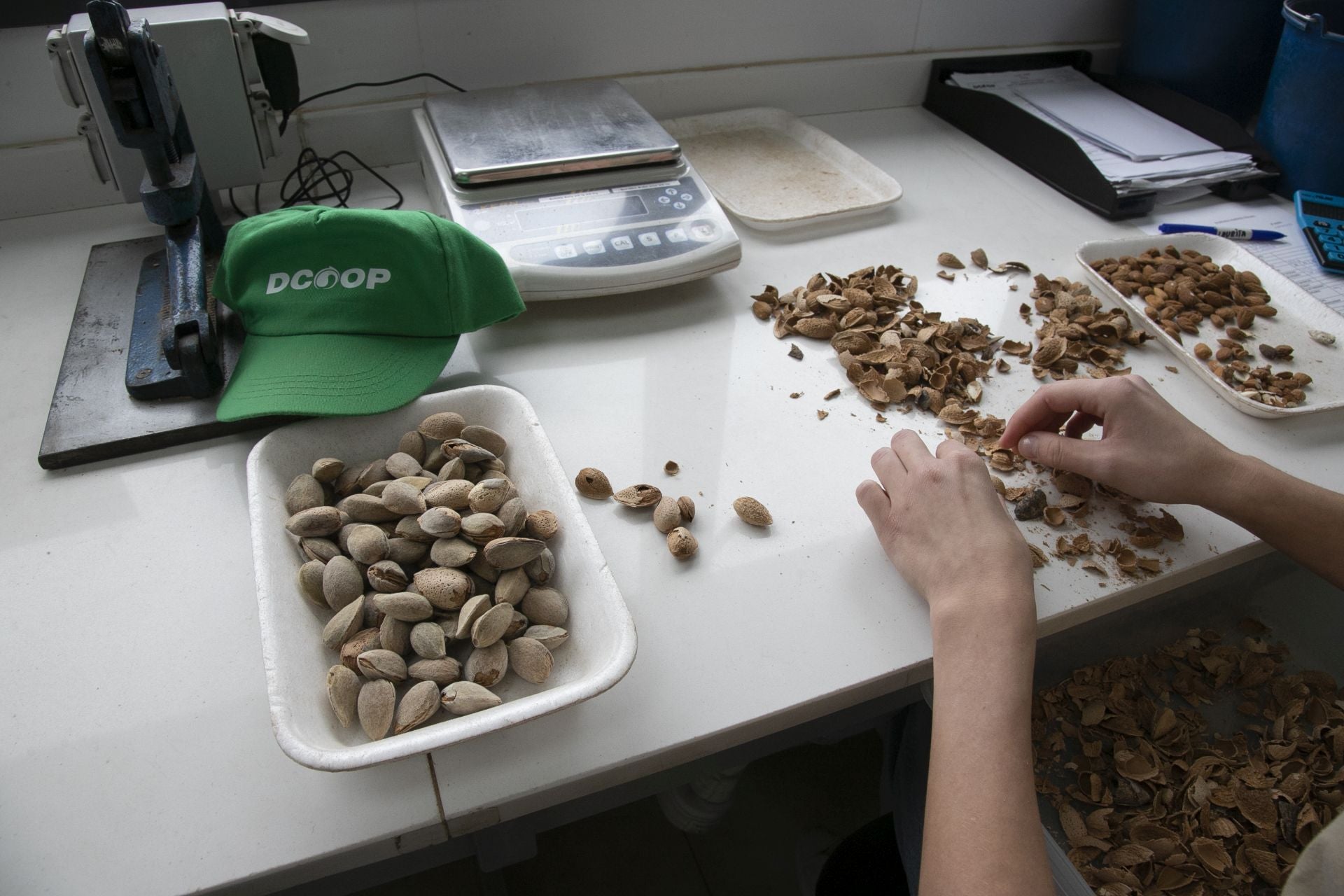 La imponente planta de almendras de Dcoop en Villarrubia, en imágenes