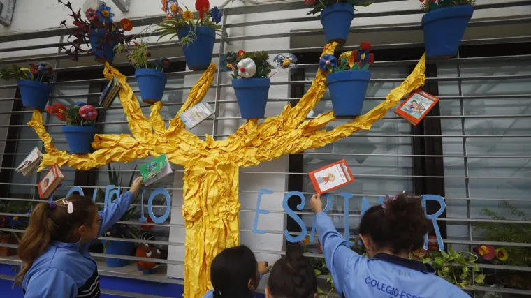 Festival Flora 2024 Córdoba: la flor que también germina en los colegios