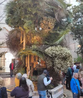 Imagen secundaria 2 - Numeroso público se da cita en el arranque del festival que abarca cinco sedes en el Centro histórico y una competición que explora la fuerza de la naturaleza viva en el mundo actual con creaciones multiespecie que dialogan con los edificios donde se insertan y con el propio visitante.