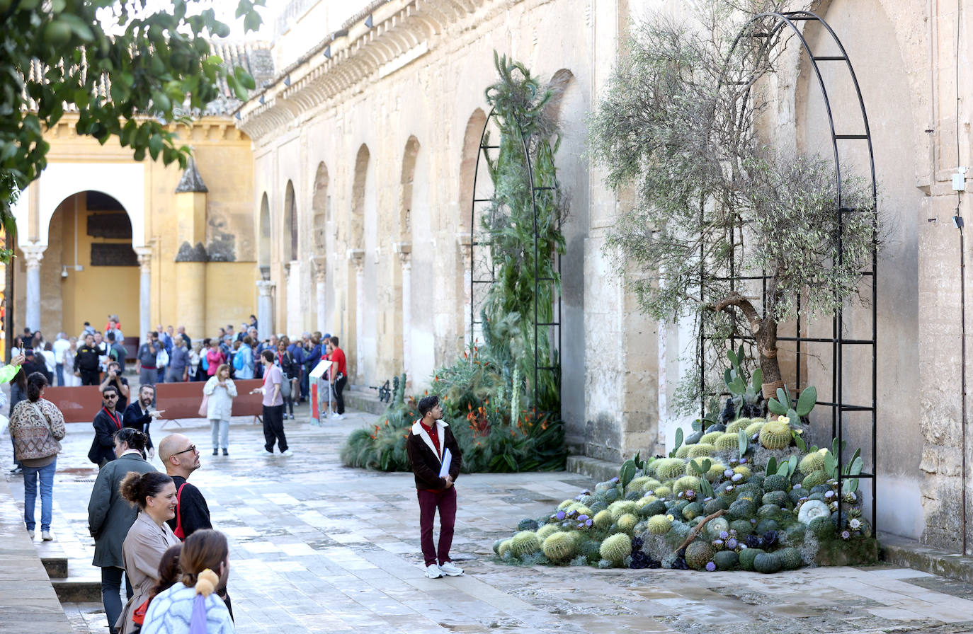 El incomparable espectáculo sensorial del Festival Flora de Córdoba, en imágenes